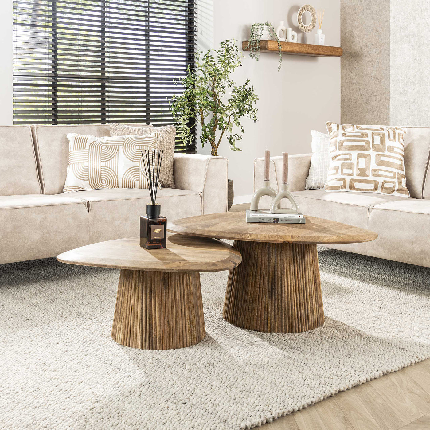 ALEA Lot de 2 tables basses en bois de manguier massif