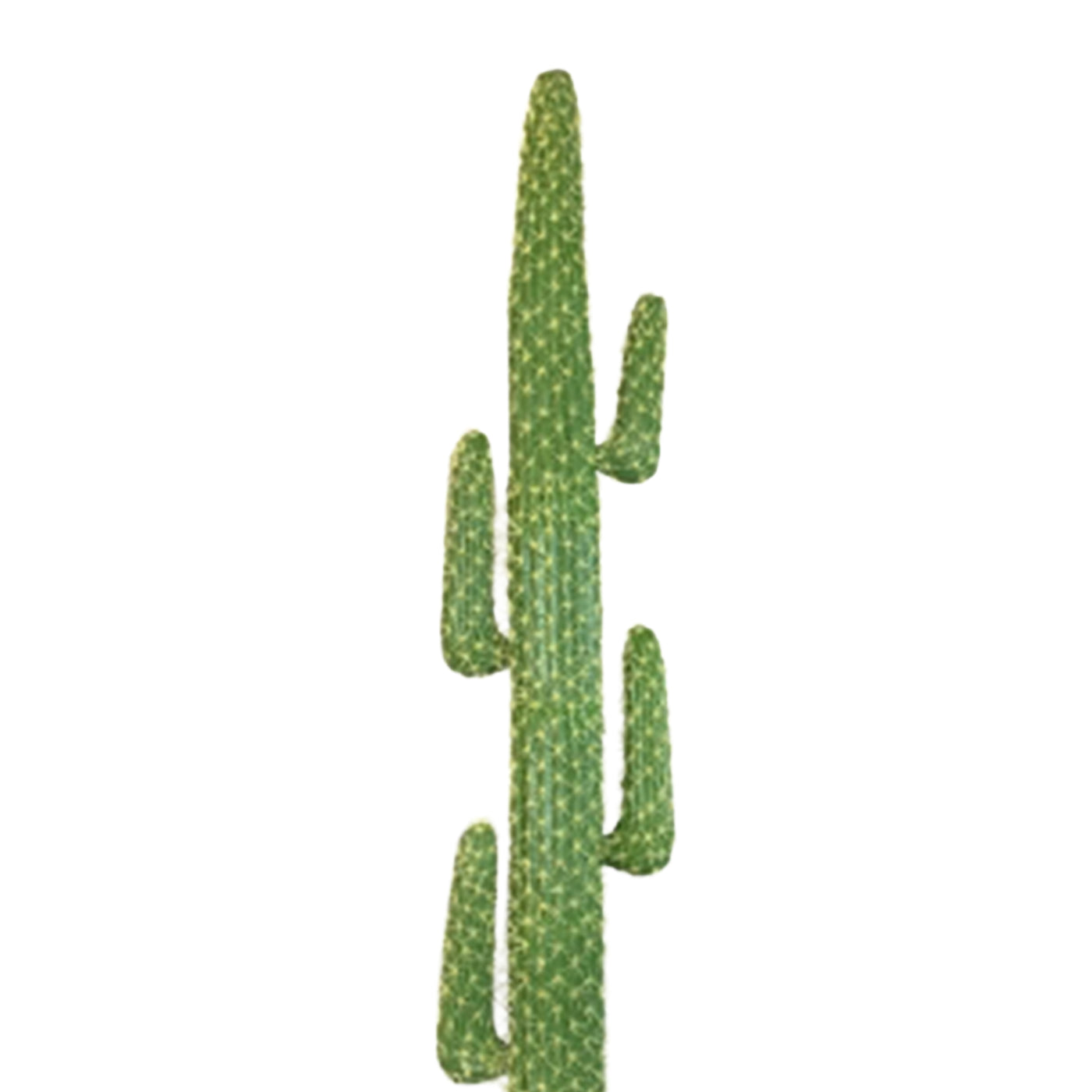 CALYRA Cactus artificiel en pot - 2m