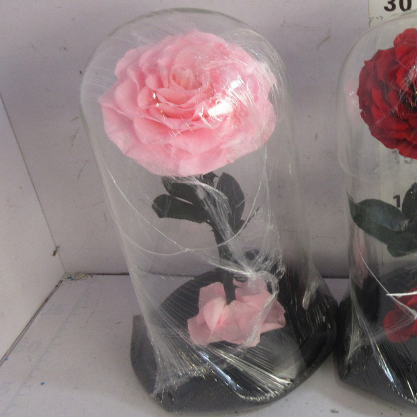 ONAYA Rose éternelle rose en cloche - 30 cm