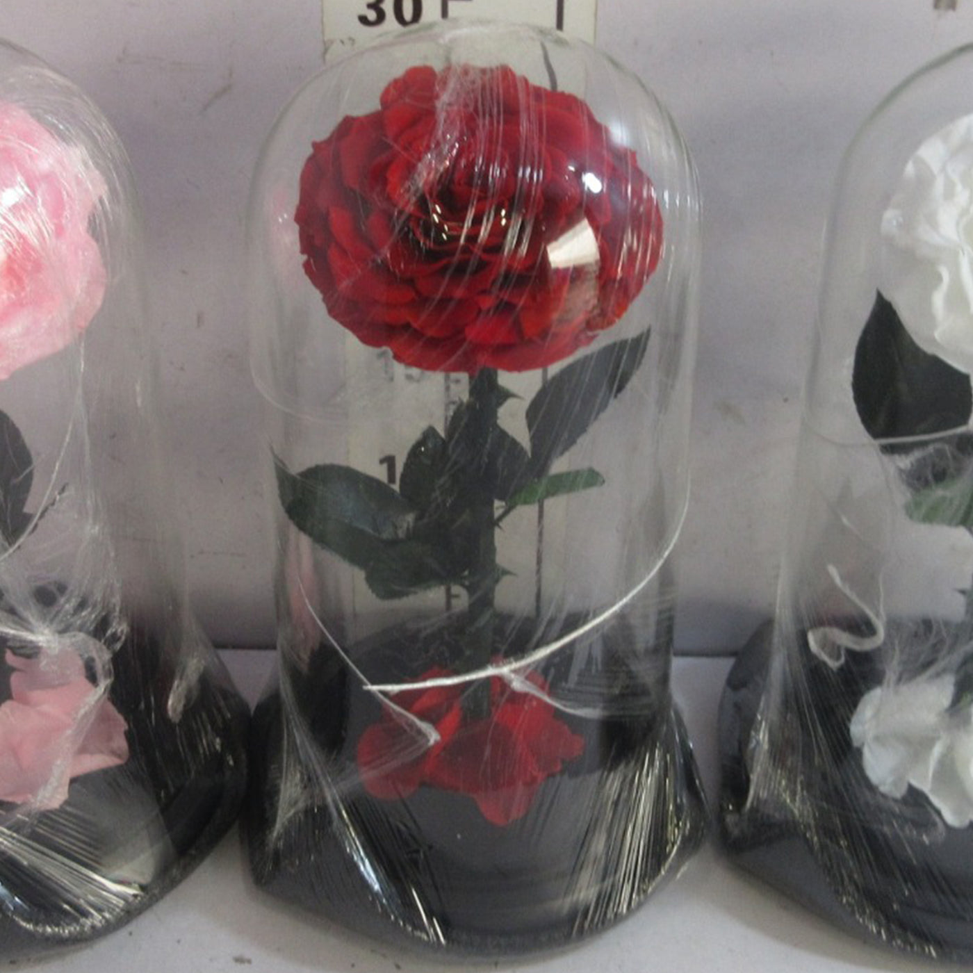 ONAYA Rose éternelle rouge en cloche - 30 cm