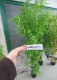 ZENYA Plante artificielle verte en pot - 2m